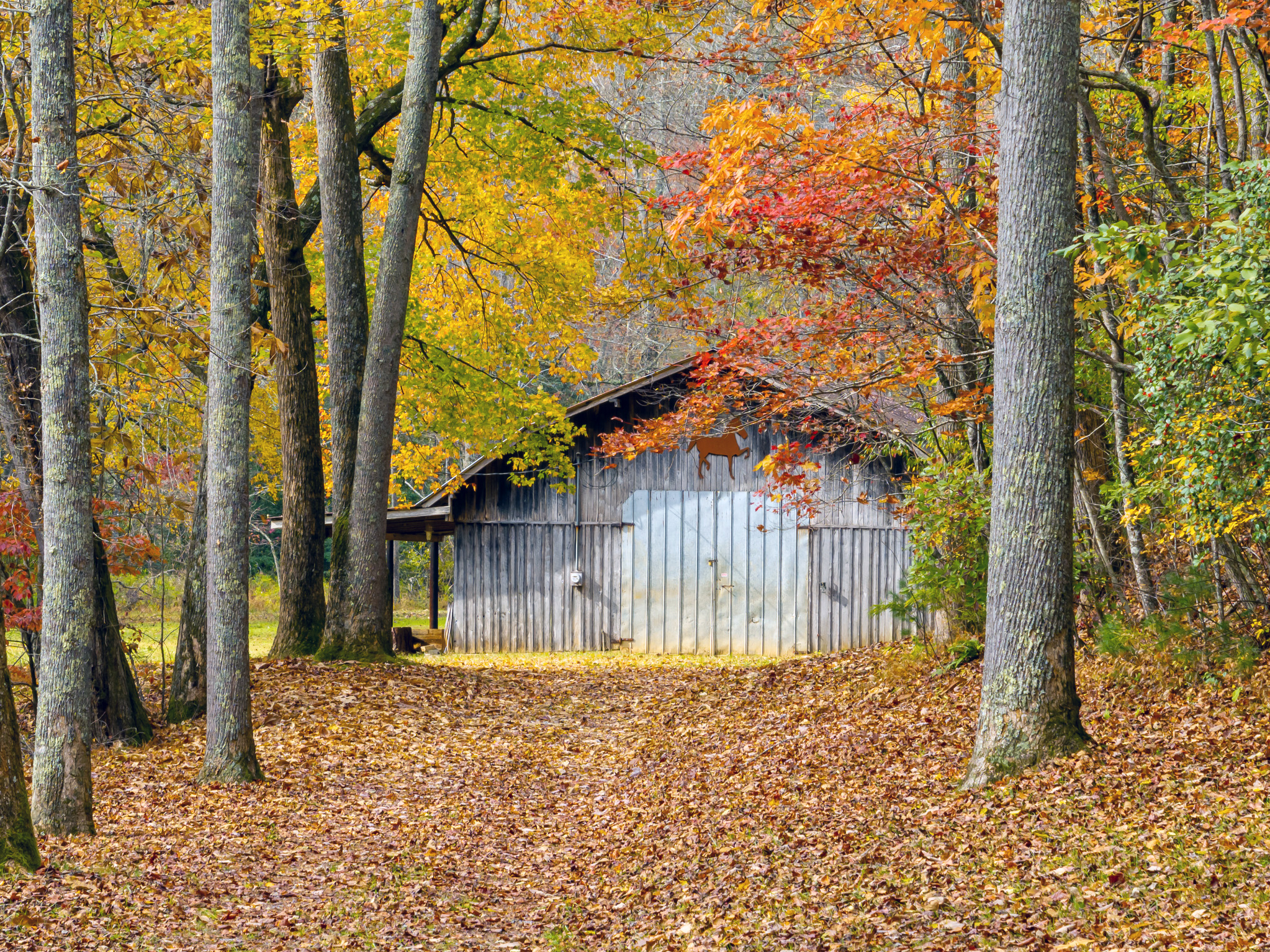 view of barn